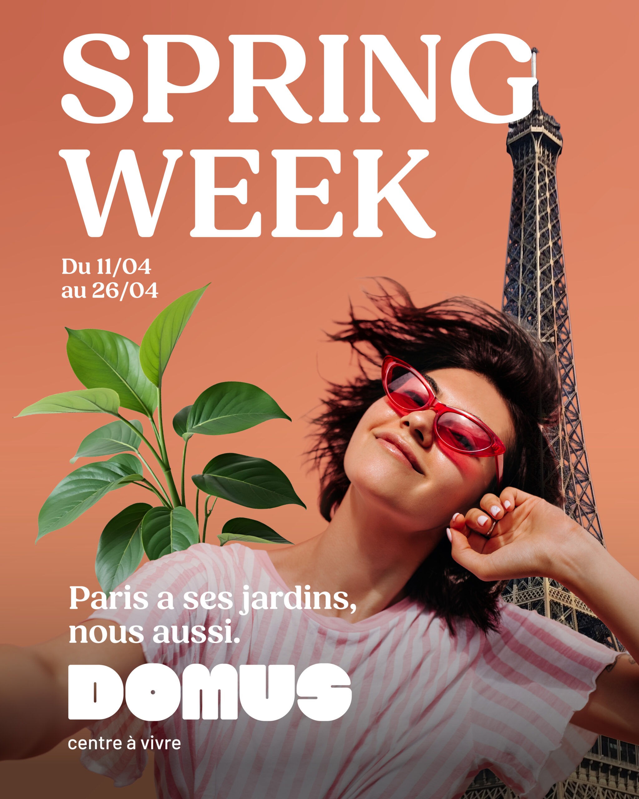 Le printemps vous attends chez Domus