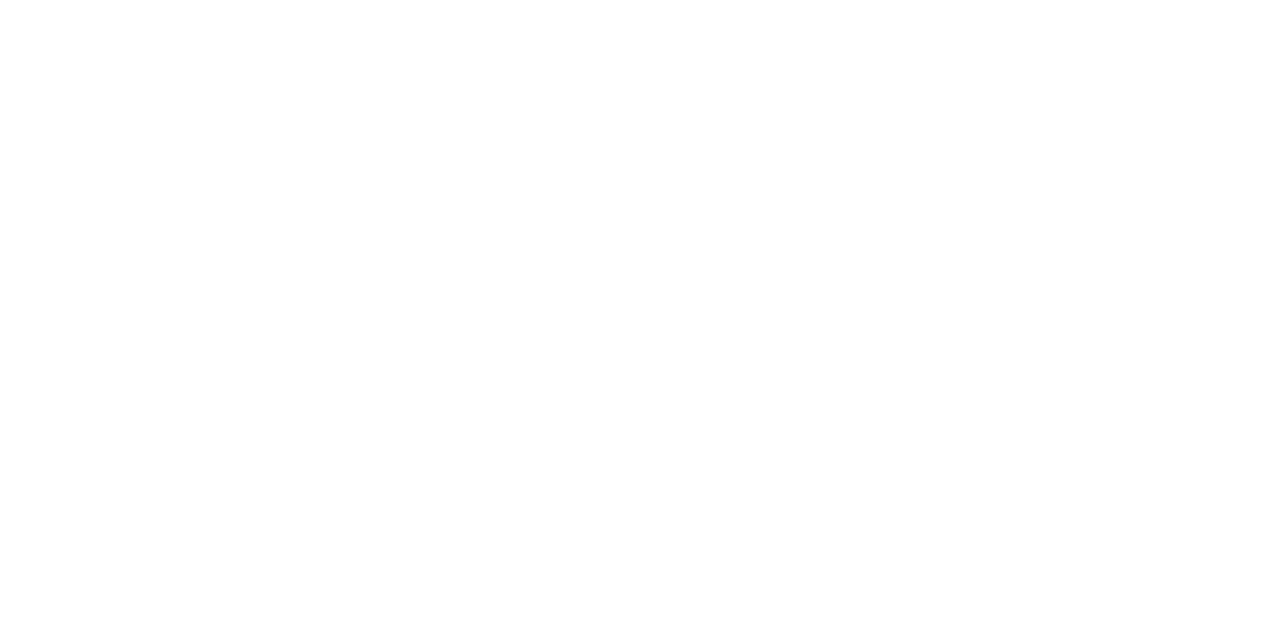 Logo domus blanc