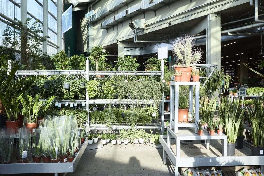 intérieur du magasin Truffaut dans le centre commercial de Domus Paris