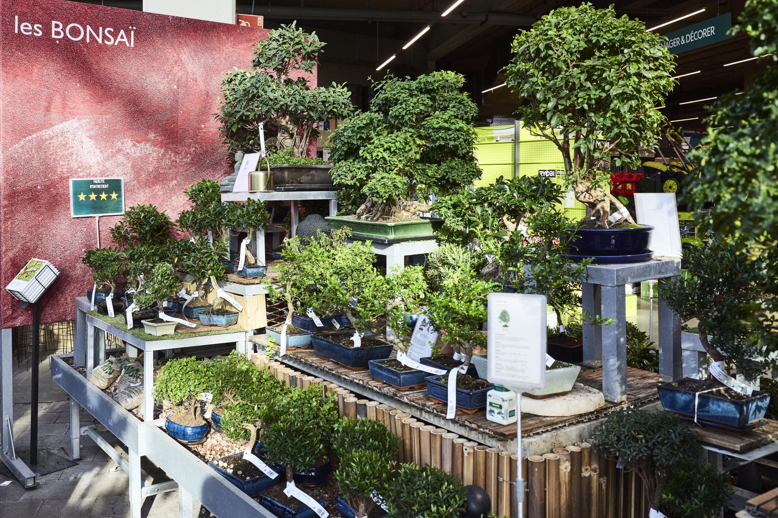 intérieur du magasin Truffaut dans le centre commercial de Domus Paris